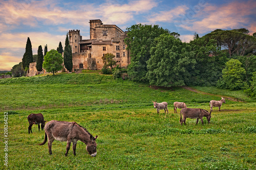 Cuadro en lienzo Lourmarin, Provence, France: landscape at dawn of the countryside with the ancie