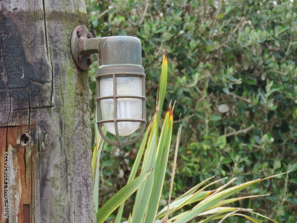 Dawlish Warren Nature Reserve Light Dawlish Warren Nature Reserve Light