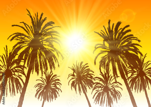 Palm tree silhouettes on sunset sky background