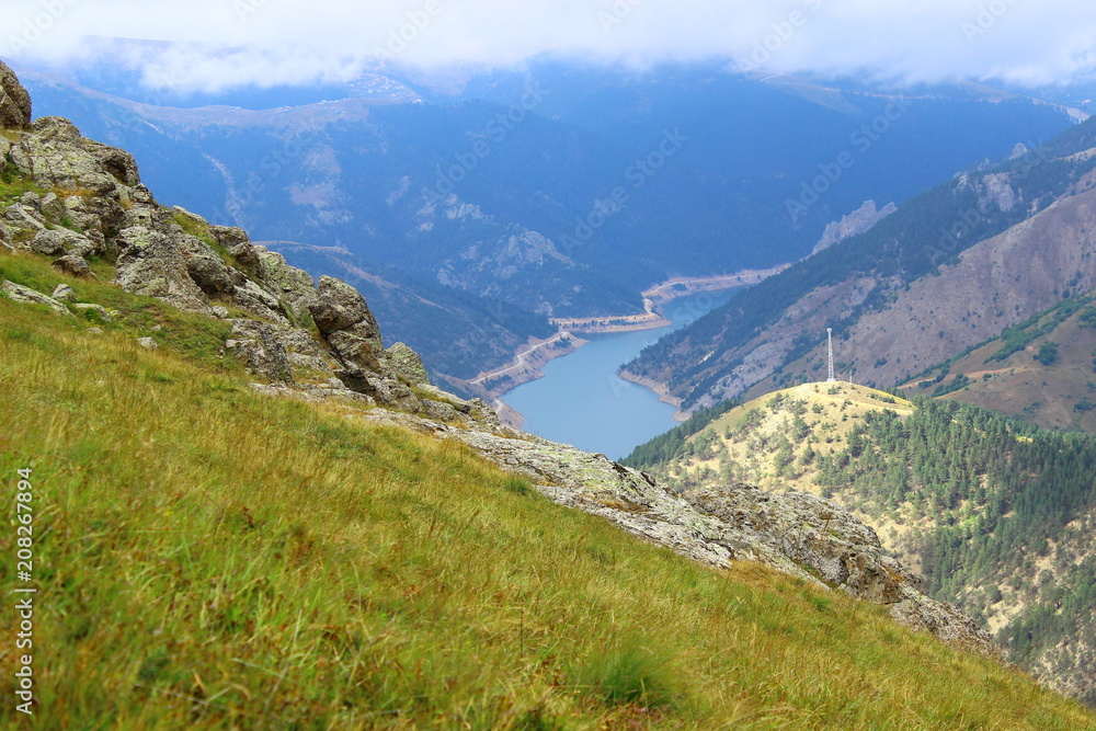 Naklejka premium dam