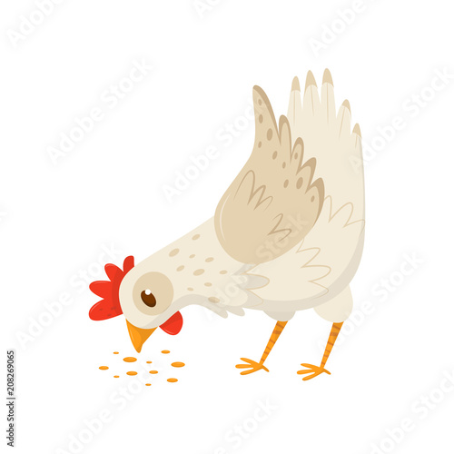 Hen eating seeds. Domestic fowl with bright red scallop and orange feet. Flat vector icon of farm bird. Poultry farming theme