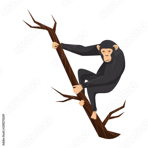 Fotografia Flat vector icon of chimpanzee on tree branch