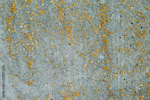 Asbestos slate texture concrete covered with lichen and moss