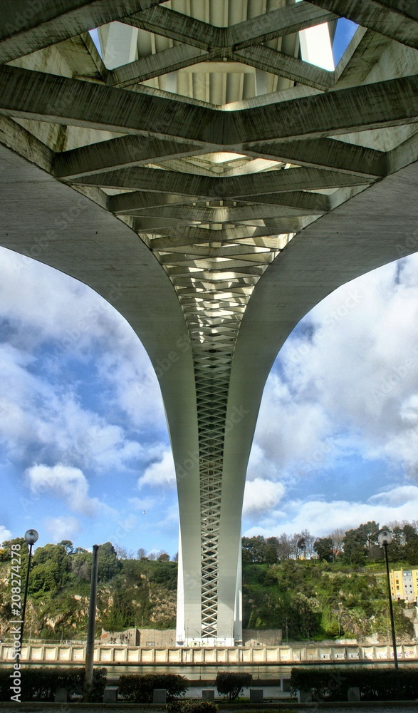 Under the bridge of Arrabida, in Porto, Portugal