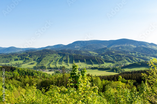 Beautiful landscape in the mountains. Blue sky  green grass and trees and in the background mountains on the horizon