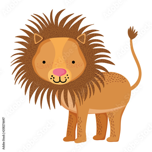 cute male lion wild animal