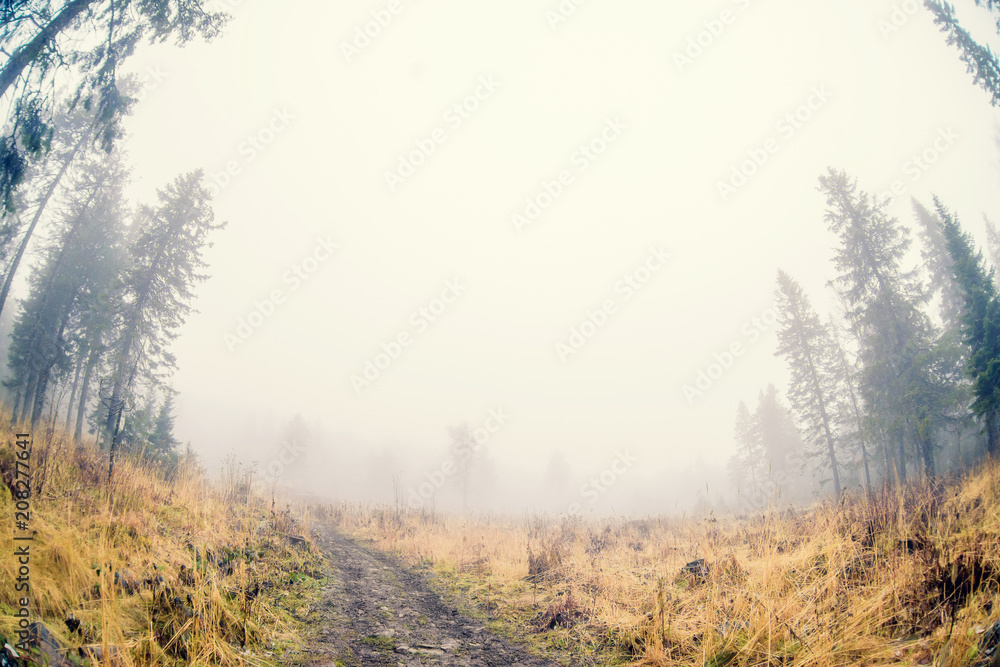 Fototapeta premium Autumn mist over river and forest - Beautiful fall landscape with a river going through stones, surrounded by forests in autumn colors and shrouded by a mystical mist.