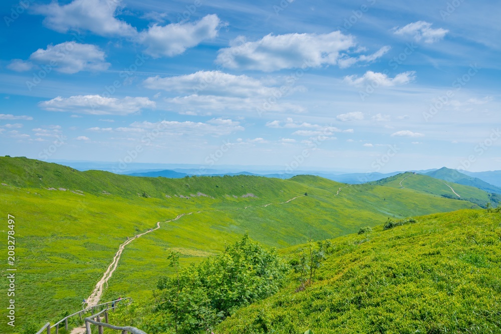 Obraz premium Polonina Wetlina mountain trail in Polish Bieszczady