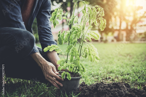 Young man planting the tree in the garden as earth day and save world concept, nature, environment and ecology