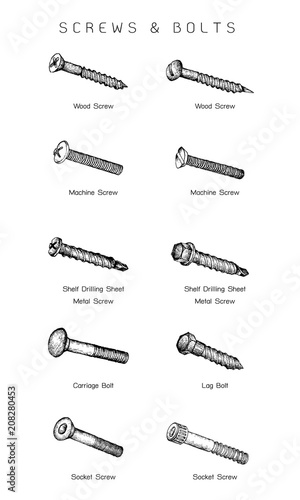 Hand Drawn Sketch of Screw Types Set