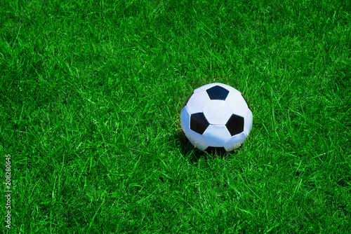 Soccer ball on green grass