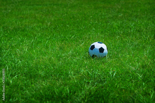 Soccer ball on green grass © Maryana