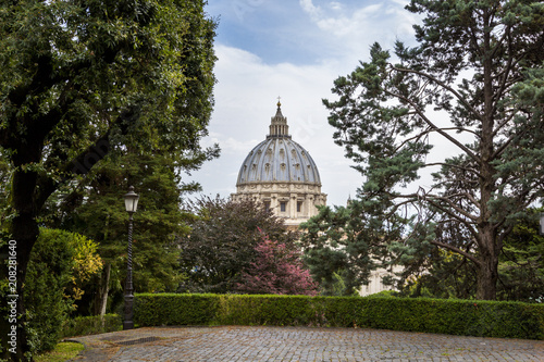 View at St Peter's Basilica (Basilica di San Pietro) from Vatican Gardens with with pines and paved paths, Rome, Italy.