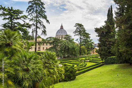 Photography View at St Peter's Basilica (Basilica di San Pietro) from Vatican Gardens with beautiful green lawns, pines and palm trees, Rome, Italy