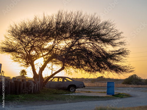 Old Car by a Tree at Sunset