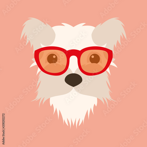  fluffy dog small face in glasses  vector illustration