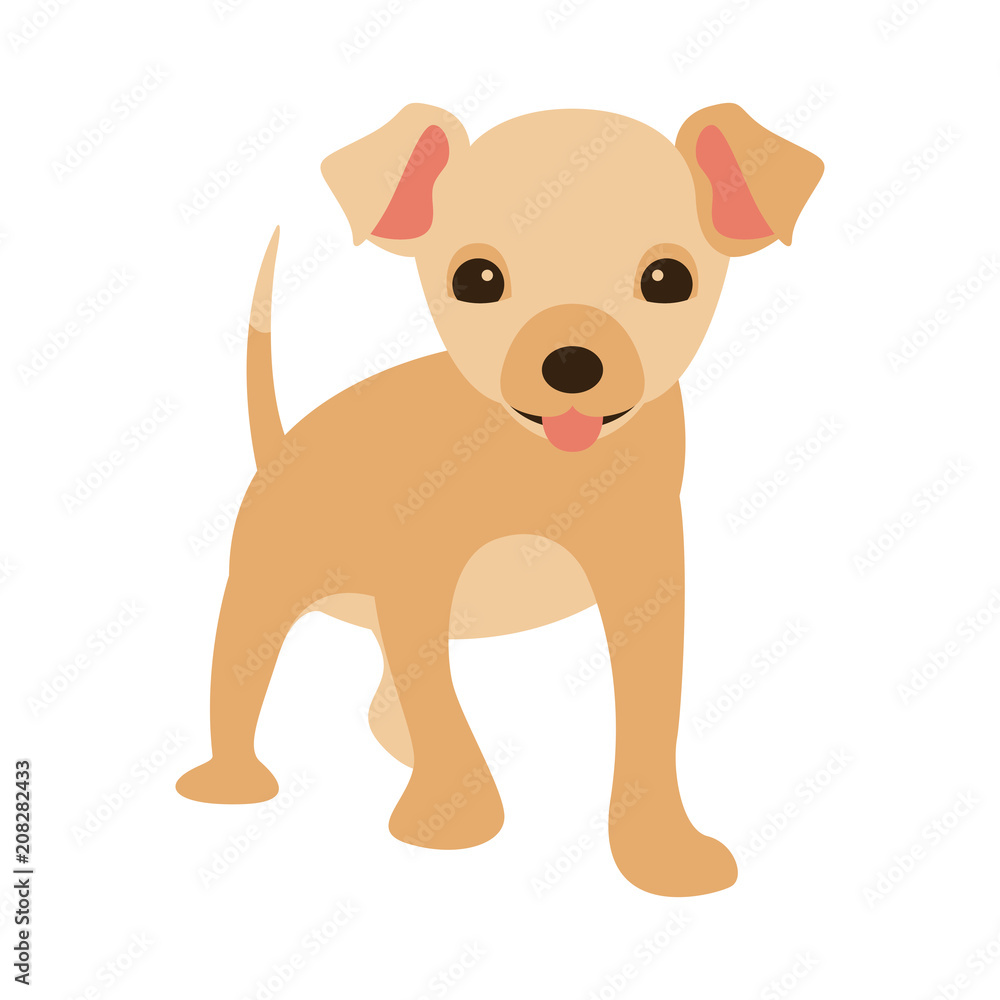 dog puppy vector illustration flat style front dog puppy vector illustration flat style front