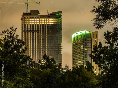 Skyscrapers Behind Trees at Night