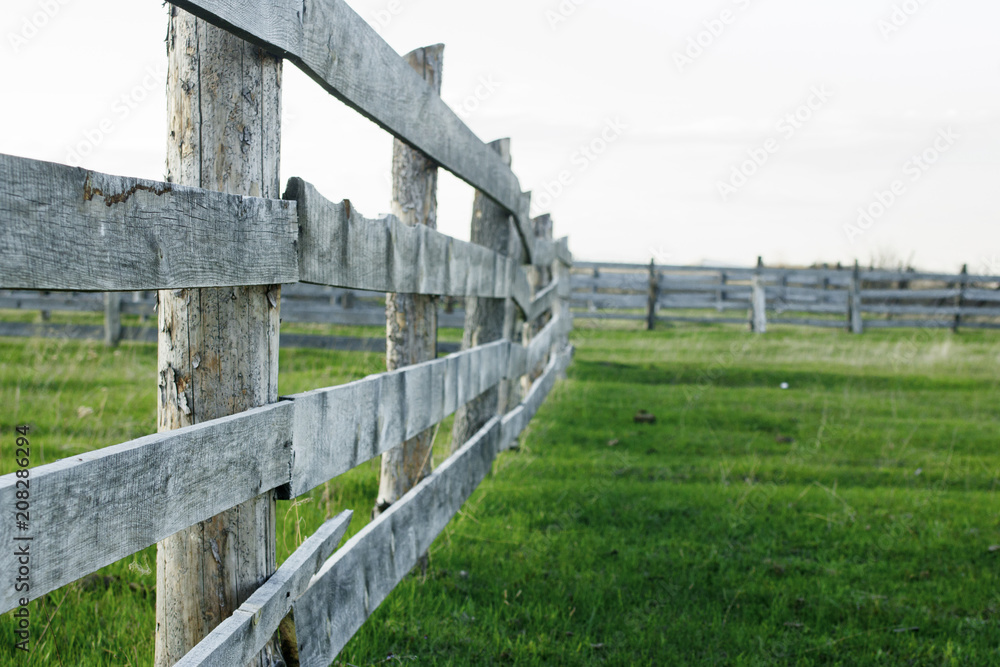 Obraz premium Rural landscape: green meadow and old wooden fence