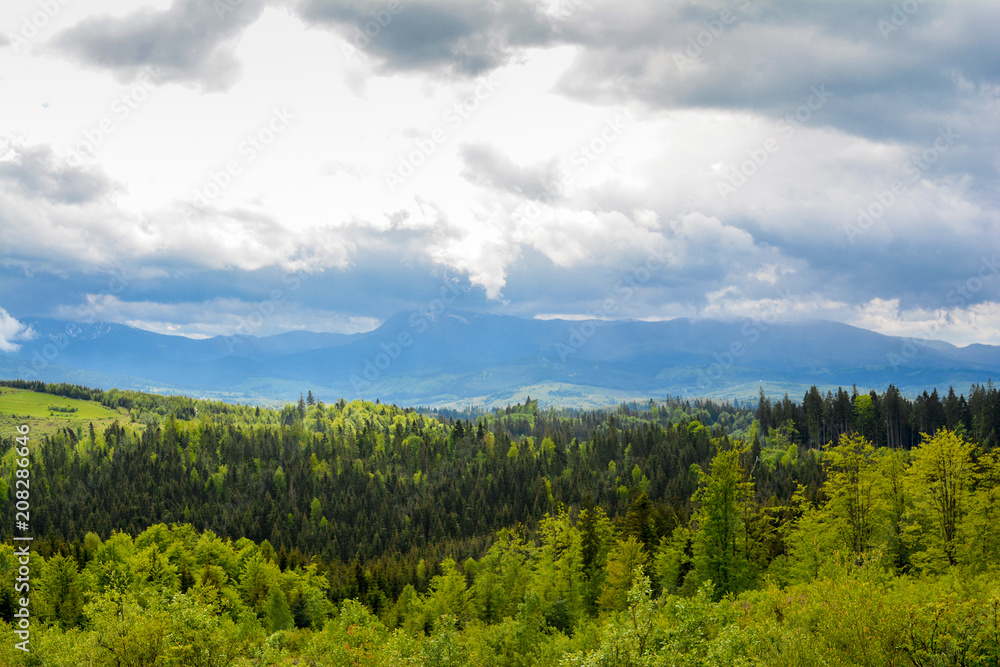 Mountain landscape with a view of Hoverla, Ukrainian Carpathians