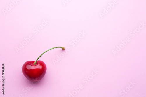 closeup of one cherry on pink background