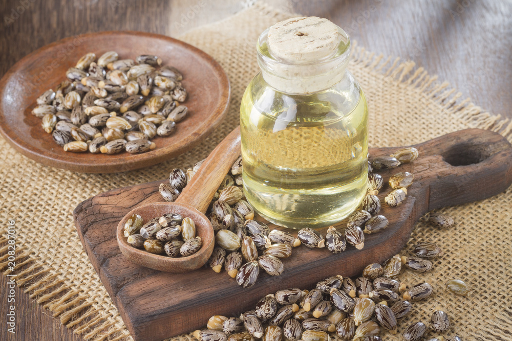 Fototapeta premium seeds and castor oil on the wooden table - Ricinus communis