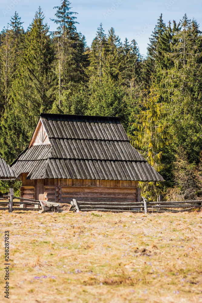 Village nature, spring with summer, contrasting background of mountains, trees. concept house in the village
Village nature, spring with summer, contrasting background of mountains, trees. concept house in the village
