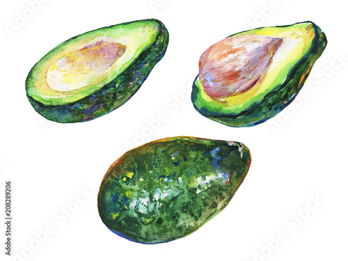 Hand drawn watercolor set of ripe, slice and whole avocado. Painting vegetables on white background