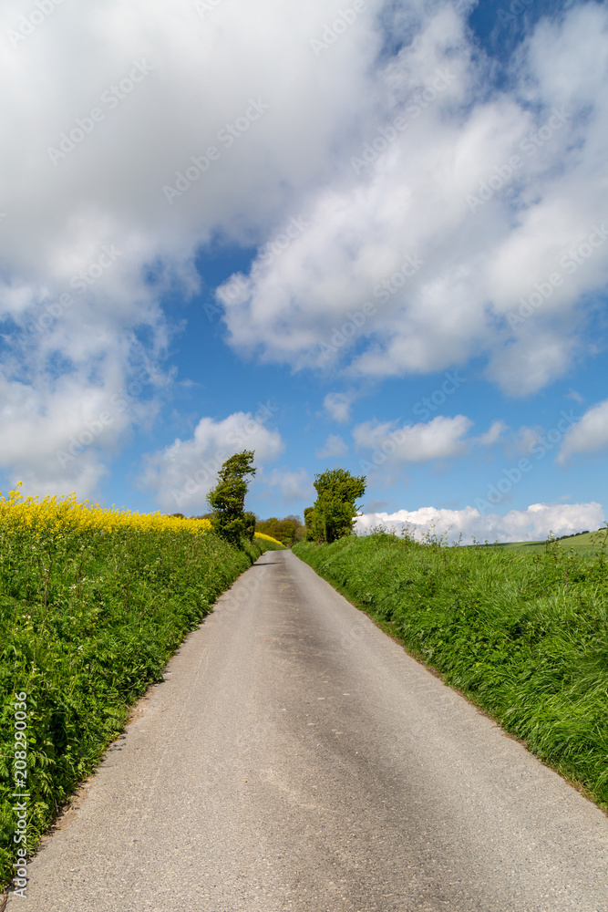 A country road surrounded by farmland, in Sussex