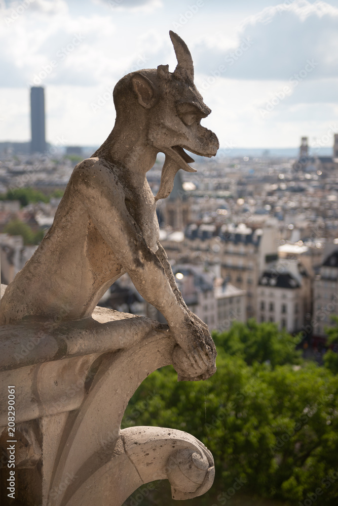 Gargoyle of Notre Dame, Paris