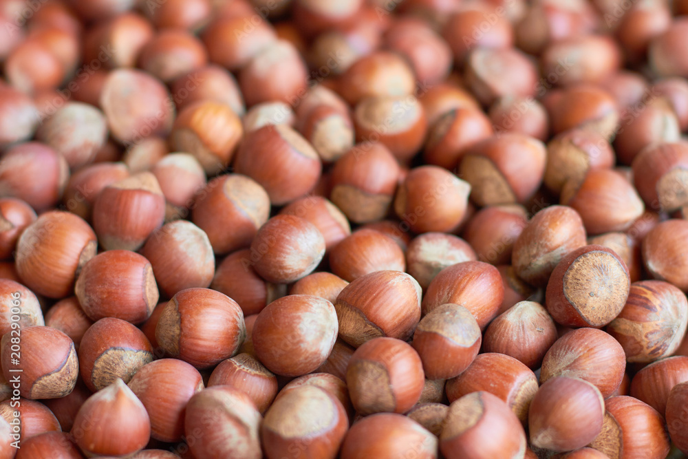 A lot of hazelnuts. A lot of hazelnuts.