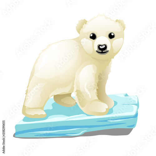 Cute polar bear floats on a drifting ice floe isolated on white background. Vector illustration.