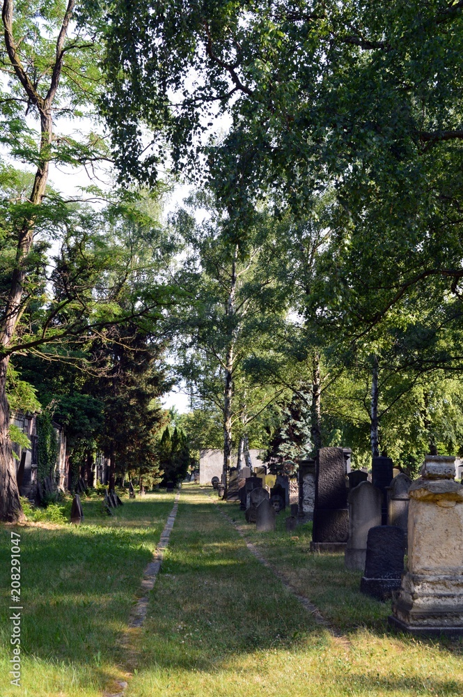 Leipzig, Saxony -  June 2018: Alter Israelitischer Friedhof Leipzig - Old Israelite Cemetery Leipzig
