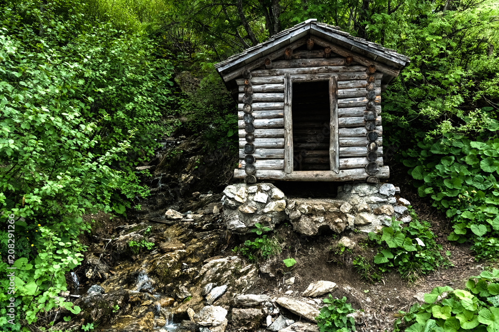 tiny wooden mountain cabin in dense lush green summer forest with a small creek beside it