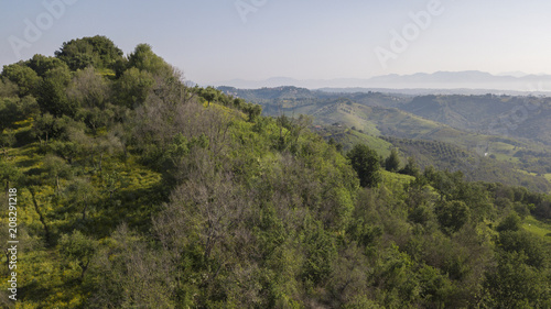 Aerial view of a tree with beautiful foliage and many leaves. The sky is blue. This forest, between Tuscany and Marche in Italy, during a beautiful sunny day in summer is rich of green trees and bush