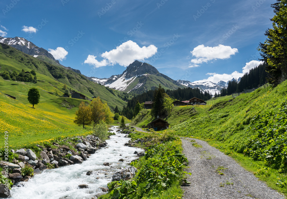 beautiful mountain valley near Klosters on a summer day with a small creek running through it