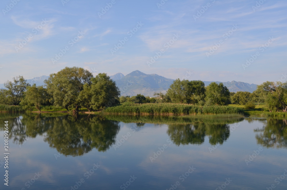 Quiet water of a lake allows beautiful mirror reflections on sunny day. Amazing wilderness nature landscape panorama.