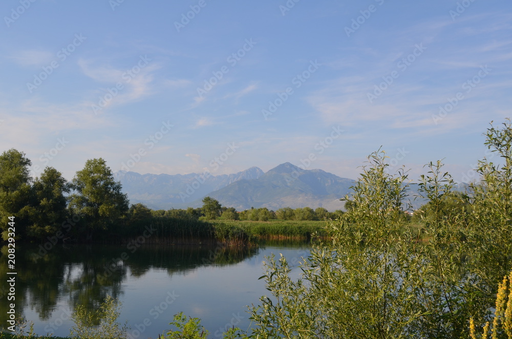 Quiet water of a lake allows beautiful mirror reflections on sunny day. Lake Skadar, Albania, Montenegro
