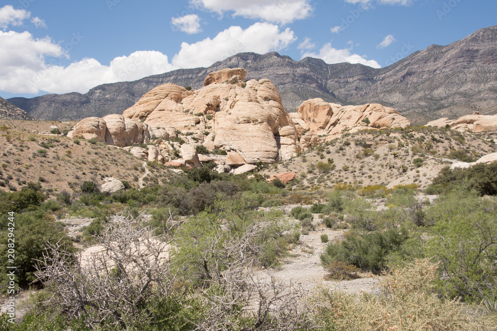 Red Rock Conservation Area Las Vegas Nevada