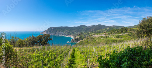 Panoramic view of Mediterranean town through a vineyard.