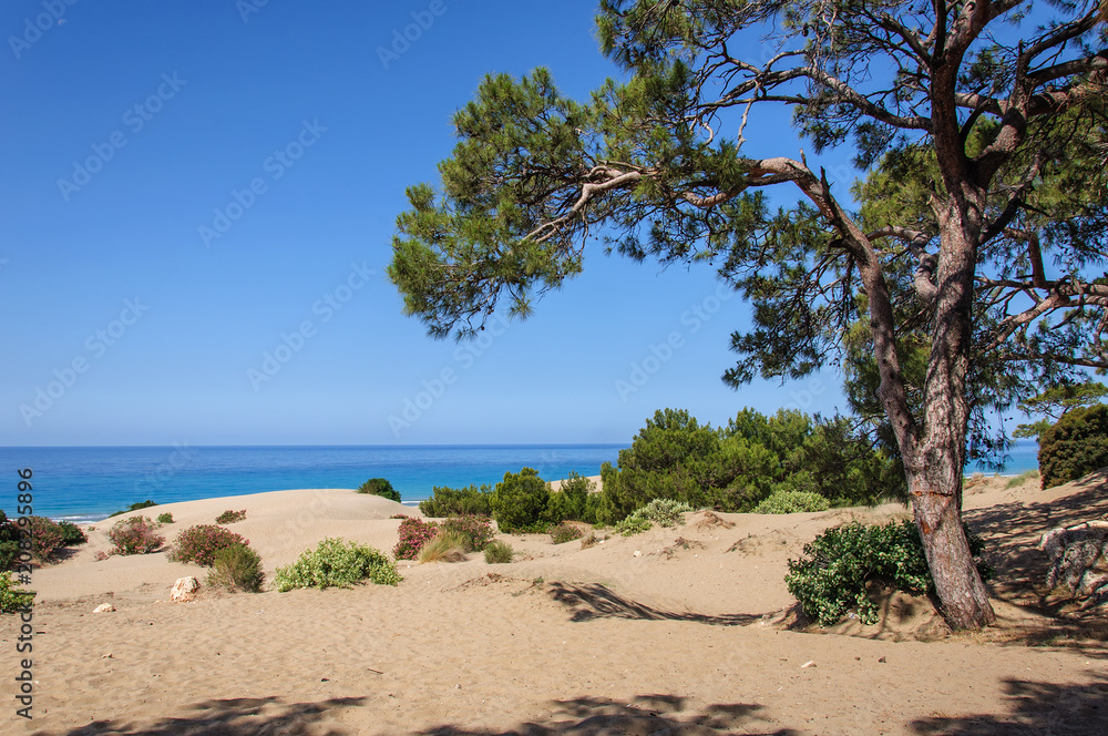 View of Patara sand beach. Antalya Province. Turkey View of Patara sand beach. Antalya Province. Turkey