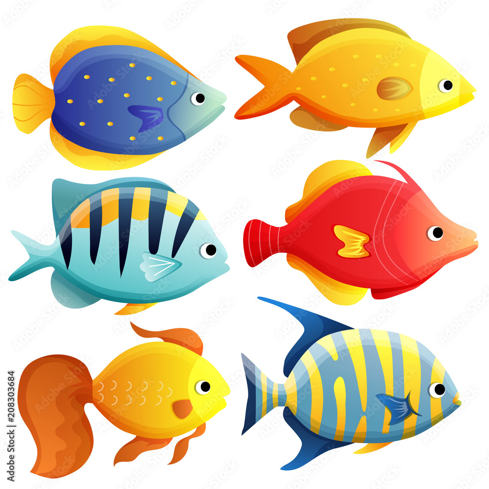 Fototapeta premium ocean fish set
