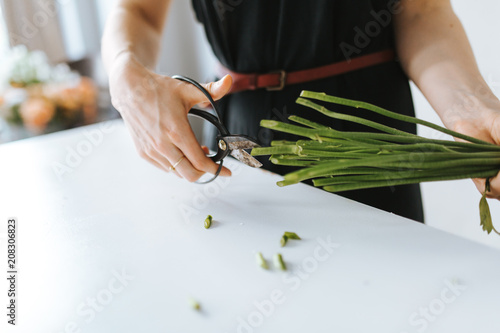 Hände einer Floristin die mit einer Schere Blumenstiele schneidet