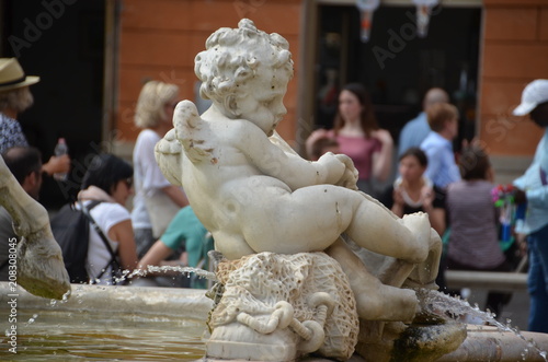 fountain navona roma  bernini sculpture photo