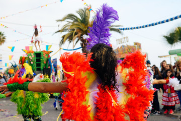 Keuken achterwand Carnaval Wazige silhouet danser straatparade carnaval  © aquar
