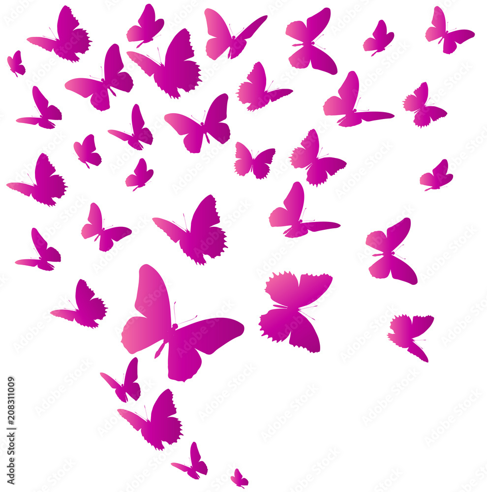 beautiful pink butterflies, isolated  on a white