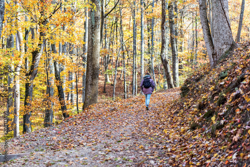 Hiking trail in Harper's Ferry with hiker, young woman in cold coat walking through colorful orange yellow foliage fall autumn forest with many fallen leaves on path in West Virginia