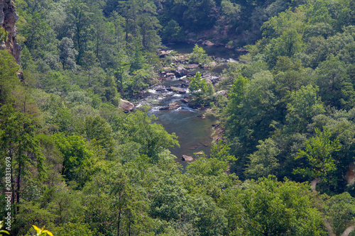 Down on the river