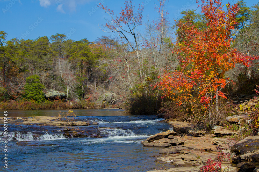 Obraz premium Color Change