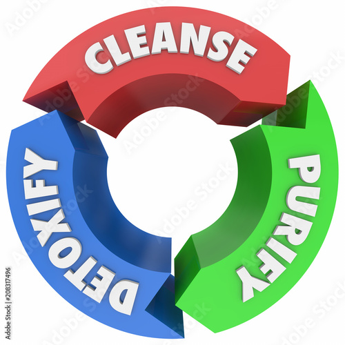 Cleanse Purify Detoxify Cycle Process Words 3d Render Illustration